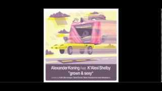 Alexander Koning feat K Alexi Shelby - Grown and Sexy - Robin Kampschoer remix