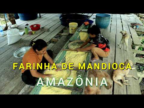 Cassava Flour - Amazonas - Video 06