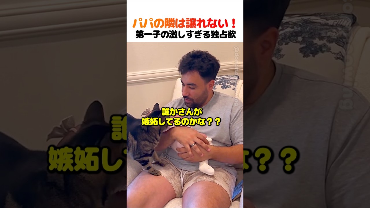 パパの隣は譲れない！第一子の激しすぎる独占欲