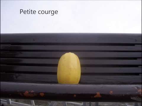 La revanche du cucurbitacée