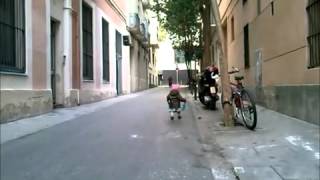 Riu Goes For A Walk SD