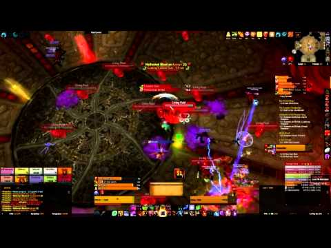 Primordius 10 Man Normal Throne of Thunder Guide