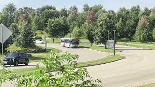 Madison Metro 2016 Gillig LF 126 on Route D2 #madisonwi #transit #busspotting