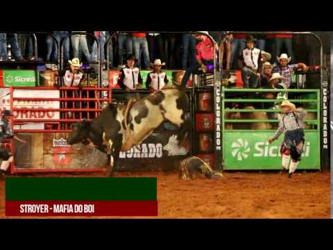 Ricardo Rosseto vs Distroyer Mafia do boi    Festa do Peão De Colorado 2017