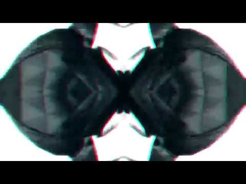 Paulina Przybysz - Dzielne Kobiety (Hansollo Remix)