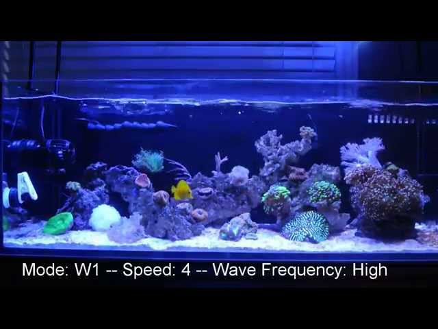 Jebao RW-8 Flow On A 3 Foot Reef Tank