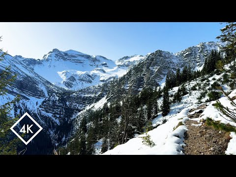 Fantastische Schneewanderung in Bayerns Alpen 4K - Beruhigende virtuelle Alpenwanderung | NaturSpezl