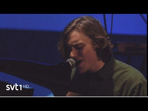 Arvid Lizell - Through The Pines (Live Performance) //Tosc Melodifestivalen