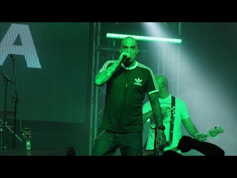 FradiMánia - Szurkolj és háborúzz! / SZIVA 40 / Bp. Barba Negra / 2017.03.14.