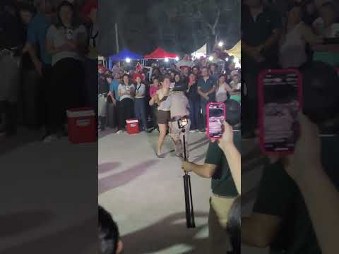 Fiesta de la medalla milagrosa Lomas de Vallejos Corrientes 2025