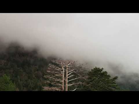 Grupi i Dukatit - Qyqe qe kendon behare