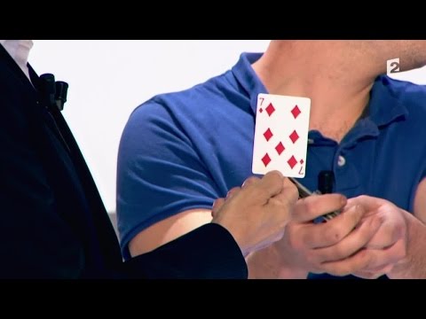 Motus du 29/10/15 - Intégrale