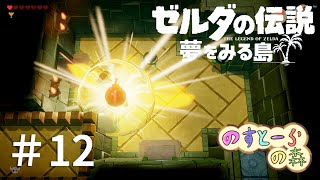 【2人実況】白昼にゼルダの伝説【夢をみる島】＃12