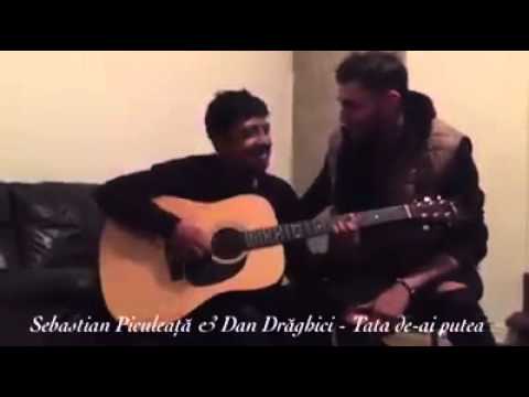 Sebastian Piculeata-Tata de-ai putea