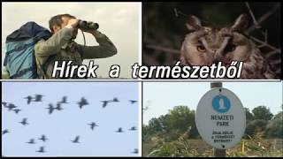 TERMÉSZET HÍREI