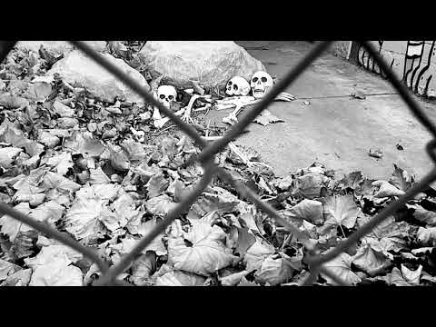 Haez One - Anti Lifers (Official Music Video)