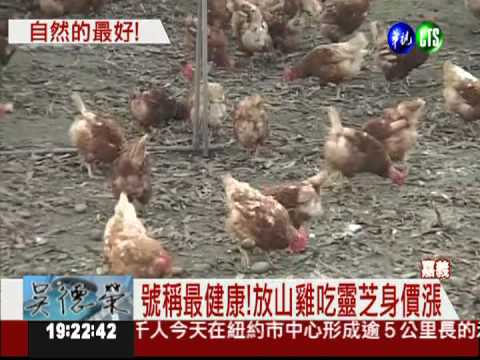 17元機能蛋 保證健康賣到缺貨