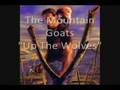 The Mountain Goats - Up The Wolves 