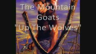 The Mountain Goats - Up The Wolves