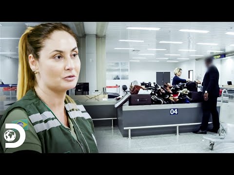 Passageiros que perderam o controle no aeroporto | Aeroporto - Área Restrita | Discovery Brasil