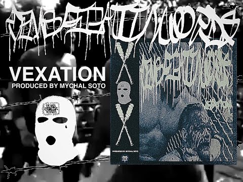 DEMSFIGHTINWORDS - VEXATION [OFFICIAL VISUALIZER] (2023) SW EXCLUSIVE
