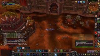 World of Warcraft PvP and PVE DH Dru and .....