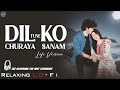 Dil Ko Churaya Tune Sanam Relaxing Lo FI Version ओ सनम K K Shreya 90s Lofi Song