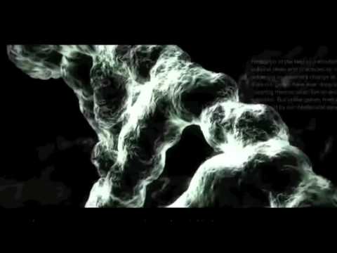 Sensoreal, Tomin Tomovic    Spiritual Revolution Original mix