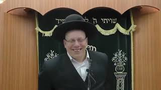 הרב ליאור גלזר פרה אדומה תיקון למה קורע מצחוק
