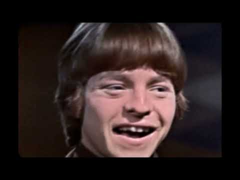 NEW 📀 Hang On Sloopy - The McCoys {Stereo} 1965