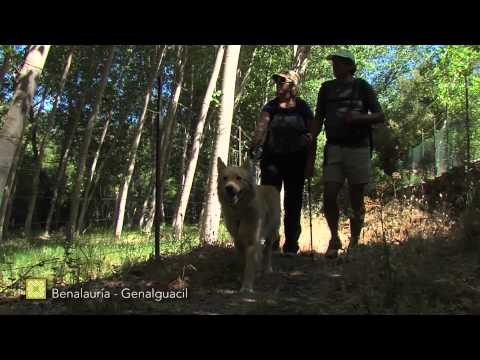 Gran Senda de M�laga. Etapa 27: Benalaur�a-Genalguacil