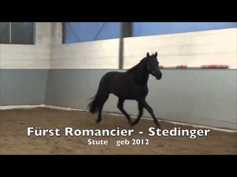 Fürst Romancier - Stedinger 2012 W