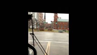 Greyhound Rules to remember!