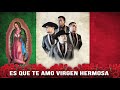 Los Palominos - Es Que Te Amo Virgen Hermosa (Homenaje A La Patrona De Mexico)