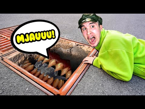 MICKA JE USISALA RUPA SA ZUBIMA! *moram ga spasiti*