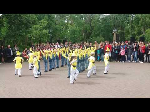 CReatiV Dance Studio - Minionii