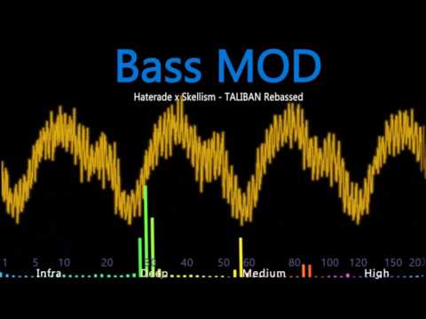 Haterade x Skellism - TALIBAN BASS MOD
