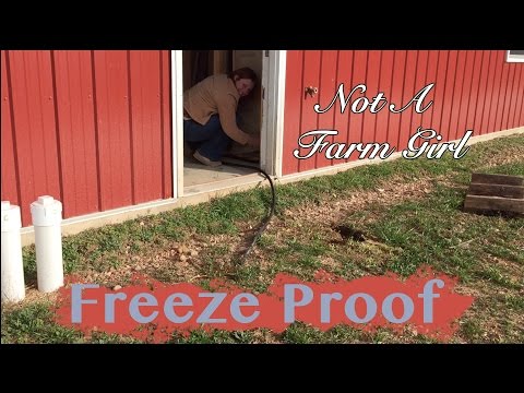 download lagu mp3 mp4 Drain Freeze, download lagu Drain Freeze gratis, unduh video klip Drain Freeze