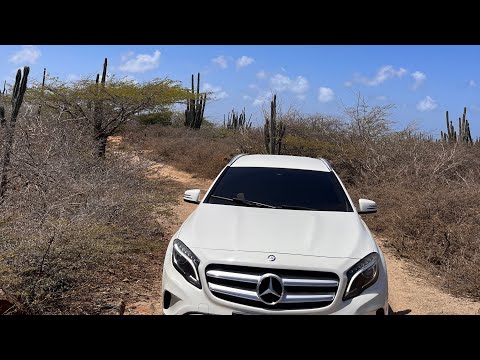 GUCCIGASS - No Kere / Papiamento PROD @ianhrsn  (Freestyle Session)