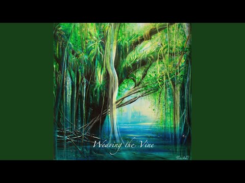 Brilho Do Sol / Vivo Na Floresta