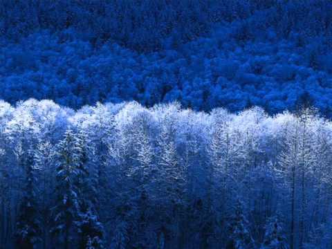 YOU GET WHEN  NEW RADICALS 12 VERSION.wmv