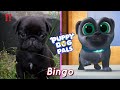 Puppy Dog Pals Characters In Real Life 2022 Bingo Is So Cute