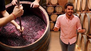 Así se hace el mejor vino del mundo