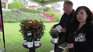 California Spring Trials 2026: Walters Gardens