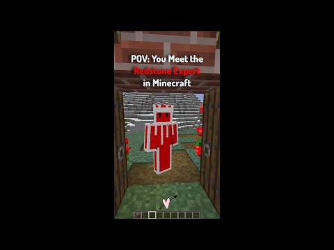 POV: You Meet the Redstone Expert in Minecraft