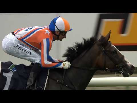 Gr.2 J Swap Contractors LTD Matamata Breeders' Stakes - Lara Antipova