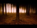 Mars Lasar -- Hush ( тишина)
