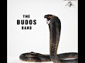 The Budos Band - Black Venom