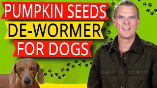 Pumpkin Seeds For Dogs (Treating & Preventing Worms in Dogs Naturally)