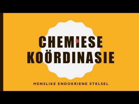 LEWENSWETENSKAP GRAAD 12: 27 Mei 2020 - periode 7 (27127)